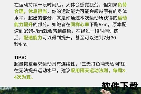 马拉松跑后恢复指南：科学策略与高效修复技巧