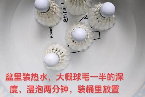 蒸球为何重要？解析其核心作用与行业应用价值