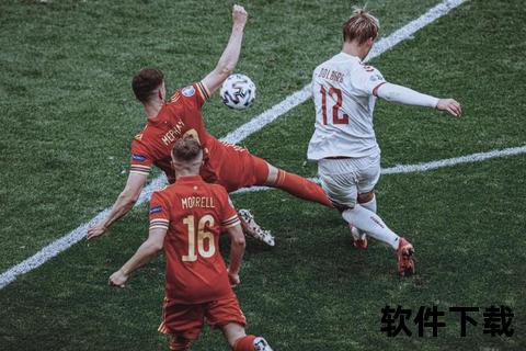 东欧铁骑激战北欧童话-捷克vs丹麦黑马争锋