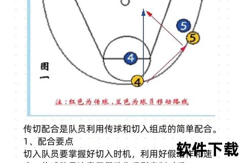 篮球运动必备要素解析:装备选择_技巧提升与训练要点 篮球运动必备要素解析:装备选择_技巧提升与训练要点