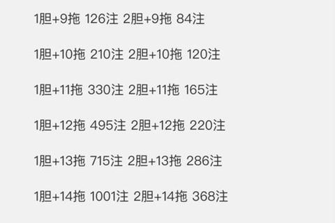 4胆29拖投注金额详解：胆拖玩法费用计算与预算解析
