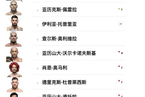 UFC终极格斗赛事起源国家解析：创办地与所属国籍揭密