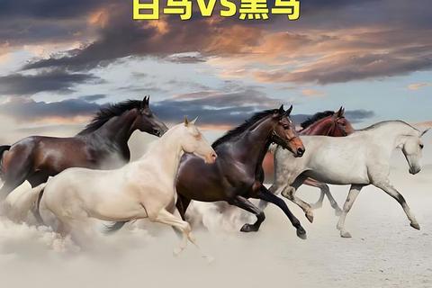 韩国VS比利时胜负预测：欧洲红魔与亚洲黑马对决