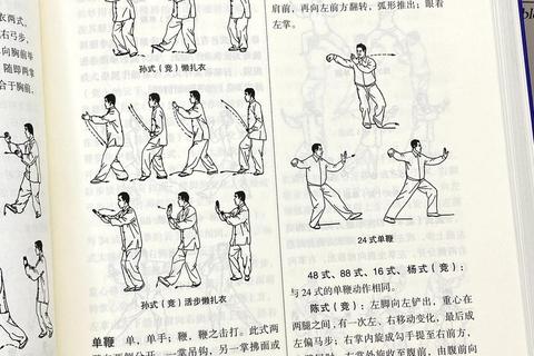 太极vs格斗：传统武术与现代搏击的实战强弱对比