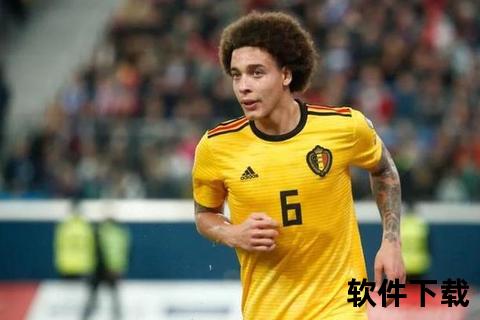 比甲联赛全解析：比利时足球顶级赛事的构成与历史沿革