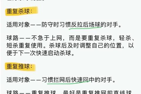 进攻端解析_关键要素与高效得分策略探秘