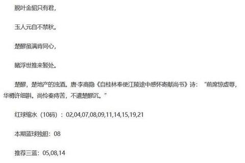 谜语解特诗解密指南：探秘诗谜互动平台专属网址