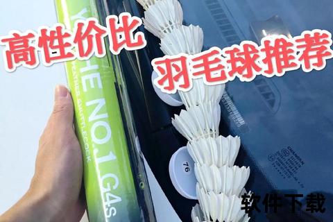 羽毛球多少钱一桶-市场价格解析及选购指南_品牌对比推荐