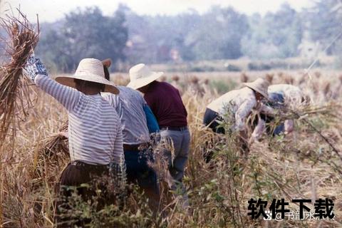 大田市民生活纪实：平凡日子里的非凡篇章
