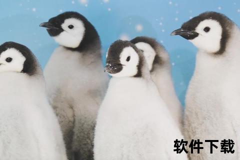 企鹅视频直播-全景直击精彩瞬间_多元内容触手可及