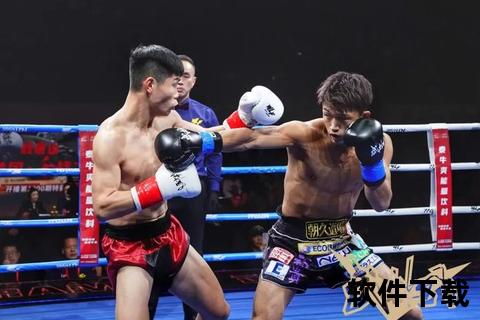 武林风巅峰对决实录-江湖擂台经典战役全程影像珍藏