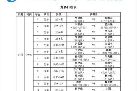乒乓球网高度标准解析-国际赛事规则与日常训练要求