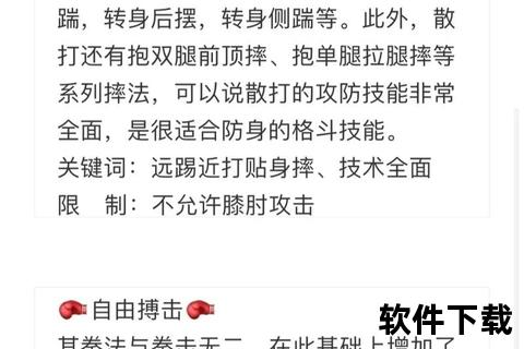 散打是什么-全面解析起源技巧与现代实战应用