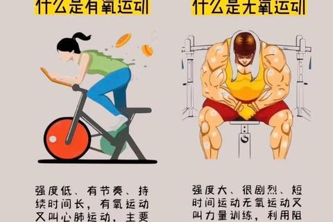 跑步VS拳击：解析有氧与无氧运动的健康效益与燃脂效果