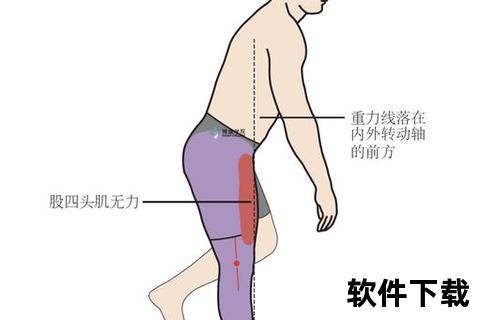 跑步发力肌群解析：核心与下肢肌肉如何驱动步伐