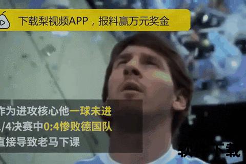 巅峰之憾-世界杯亚军征程纪实与幕后故事