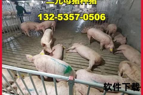 大花白猪_中国珍稀猪种保育与生态养殖新突破