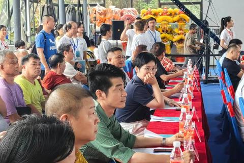 柳海龙的成功密码：解析其武术之路与影响力源泉-第1张图片-玩站答案吧