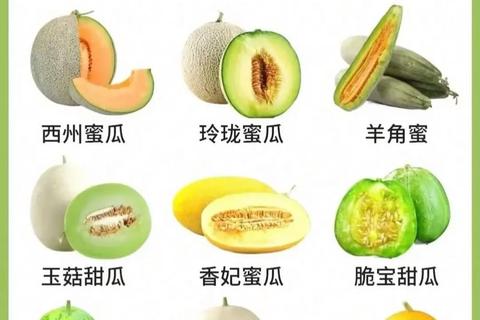 甜瓜苦味之谜：品种_环境与栽培因素的深度解析