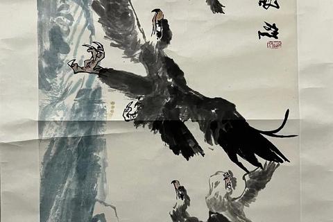 鹰之密码：揭秘老鹰象征的数字象征与深层意涵