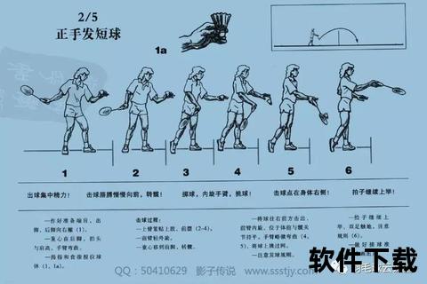 羽毛球羽毛数量解析：标准构造与运动特性探秘