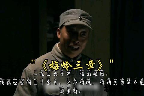 梅为何被称为铁骑-历史渊源与军事象征的双重解析  第1张