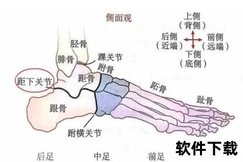 正脚背核心位置解析：鞋带区域绷直与发力关键点
