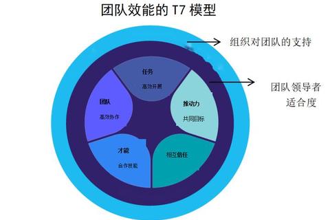 协作团队规模探析：核心成员数量与组织效能关系研究