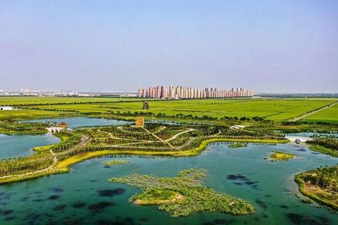 双溜底技术赋能生态治理——高效防渗筑牢绿色屏障  第2张