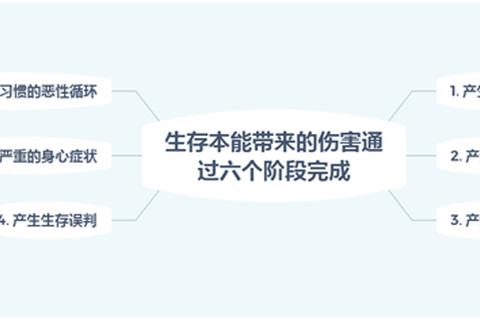 必输-揭秘庄家抽水与心理陷阱的双重绞杀