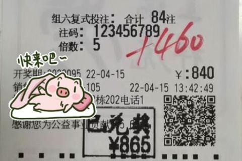福彩3D组选3价格解析：复式与胆拖投注金额详解