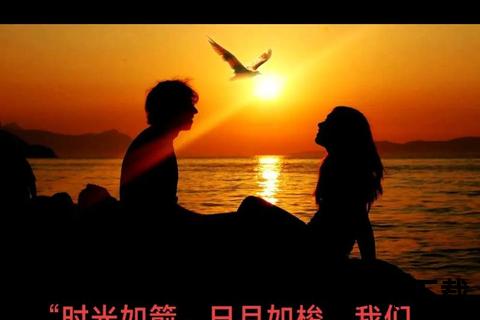 一刻一瞬:珍藏时光里的微小美好与永恒瞬间
