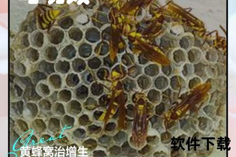 黄蜂巢穴寻找指南：高效定位方法与安全防范技巧