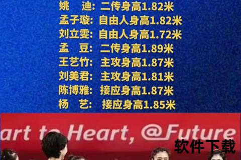 排球队员名单揭晓：主力阵容及新晋选手完整解析