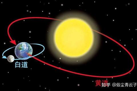 树荫为何移动_揭秘光影迁徙与太阳轨迹之谜