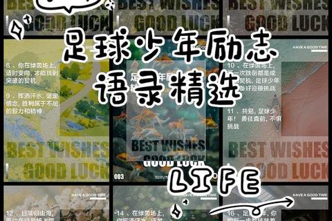 非洲杯劲旅烽火再燃：绿茵场上的荣耀之战