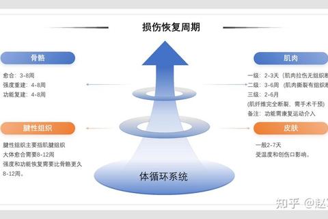 退赛现象探因：心理压力_身体损伤与战略调整的多重考量