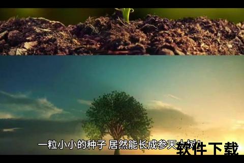 种子视频：探索生命起源与成长奥秘的视觉之旅