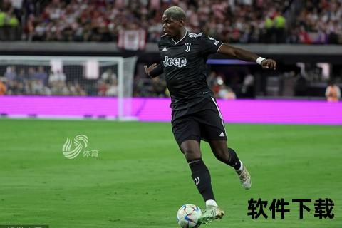 博格巴的世界杯荣光与遗憾：2018巅峰_2022伤别