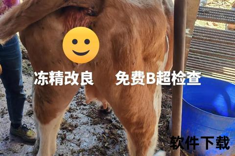 种公牛配种技术要点解析_线上直播实时展示全程操作