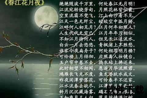 月上海：潮汐漫夜_光影织就的浪漫诗篇