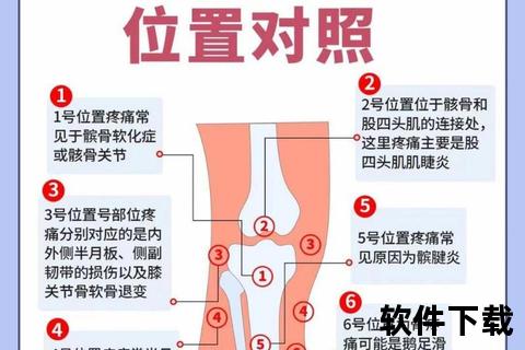 跑步膝哪里疼_详解膝外侧与髌骨下方痛点