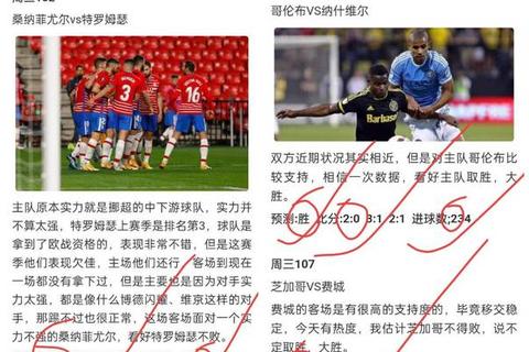 瑞士VS厄瓜多尔预测：替补奇兵与边路战术定胜负