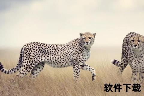 猎豹为何无法长跑：短跑之王的爆发力与耐力失衡之谜
