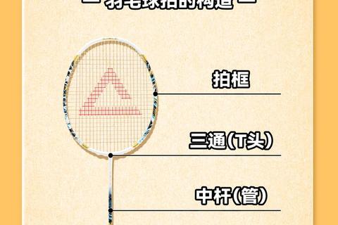 羽毛球羽毛数量解析_标准构造与组成奥秘揭秘