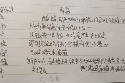 黄蜂追语意：自然符号的隐喻解码与生态叙事