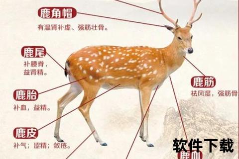 鹿角栖鸟的生态寓意：自然共生的象征意义解析