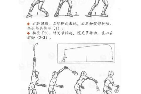 羽毛球侧身的重要性-力量协调与击球空间提升的关键