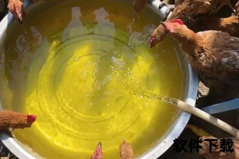 防鹰有妙招_家禽养殖户必学的安全防护技巧与策略
